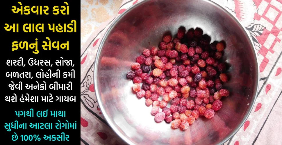 pahadi-fal-kafal-eating-benefits-for-health